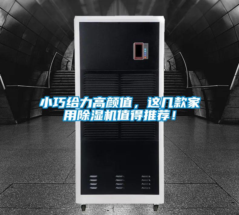 小巧给力高颜值，这几款家用精品一区二区三区水蜜桃值得推荐！