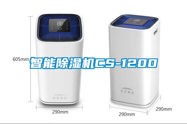 智能精品一区二区三区水蜜桃CS-1200