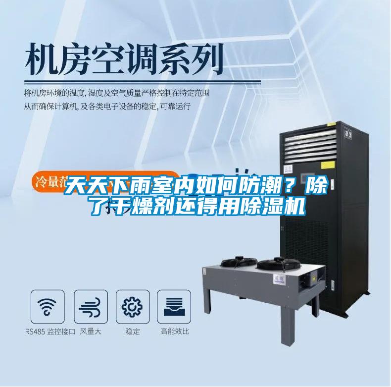 天天下雨室内如何防潮？除了干燥剂还得用精品一区二区三区水蜜桃