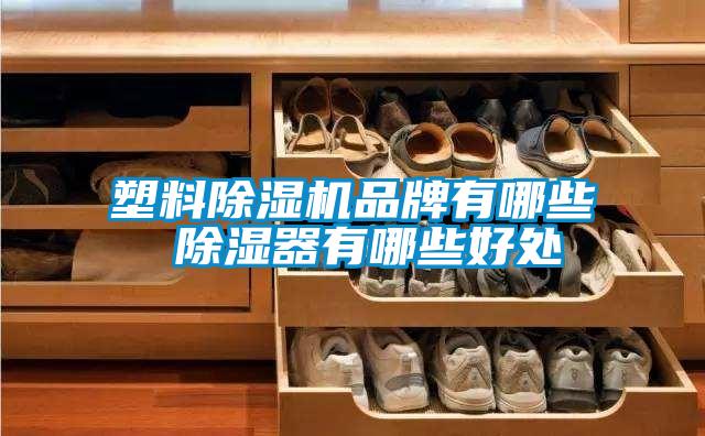 塑料精品一区二区三区水蜜桃品牌有哪些 除湿器有哪些好处