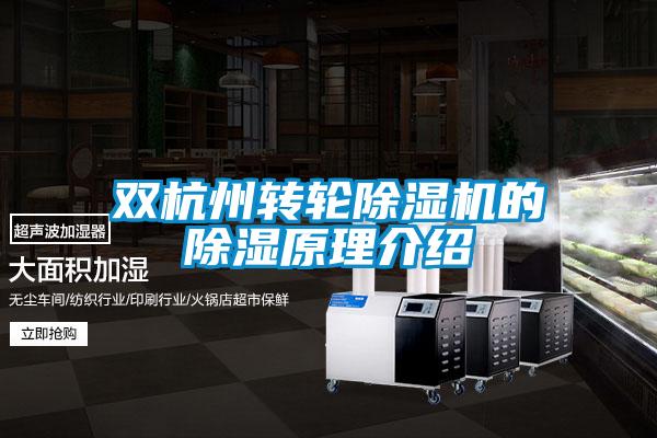 双杭州转轮精品一区二区三区水蜜桃的除湿原理介绍