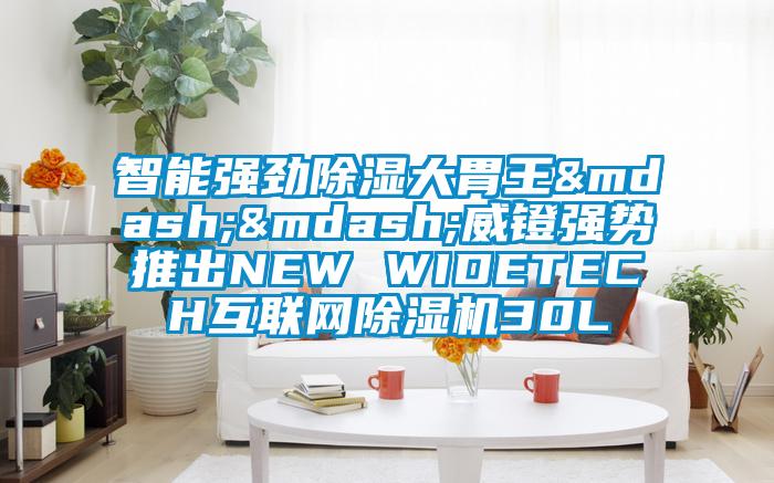 智能强劲除湿大胃王——威镫强势推出NEW WIDETECH互联网精品一区二区三区水蜜桃30L