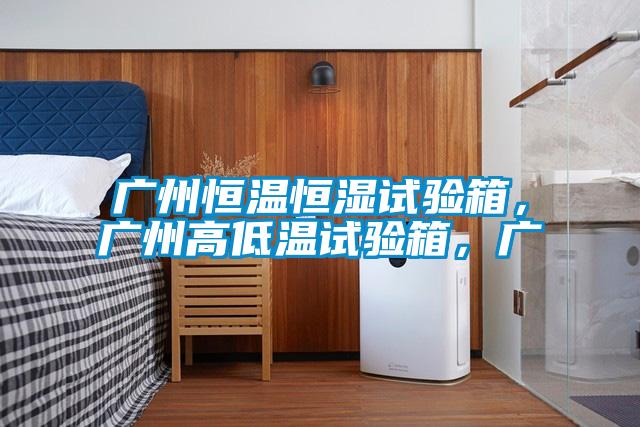 广州恒温恒湿试验箱，广州高低温试验箱，广