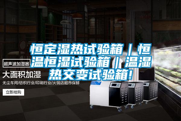 恒定湿热试验箱|恒温恒湿试验箱|温湿热交变试验箱!