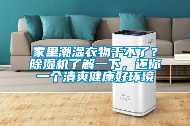 家里潮湿衣物干不了？精品一区二区三区水蜜桃了解一下，还你一个清爽健康好环境