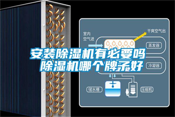 安装精品一区二区三区水蜜桃有必要吗 精品一区二区三区水蜜桃哪个牌子好