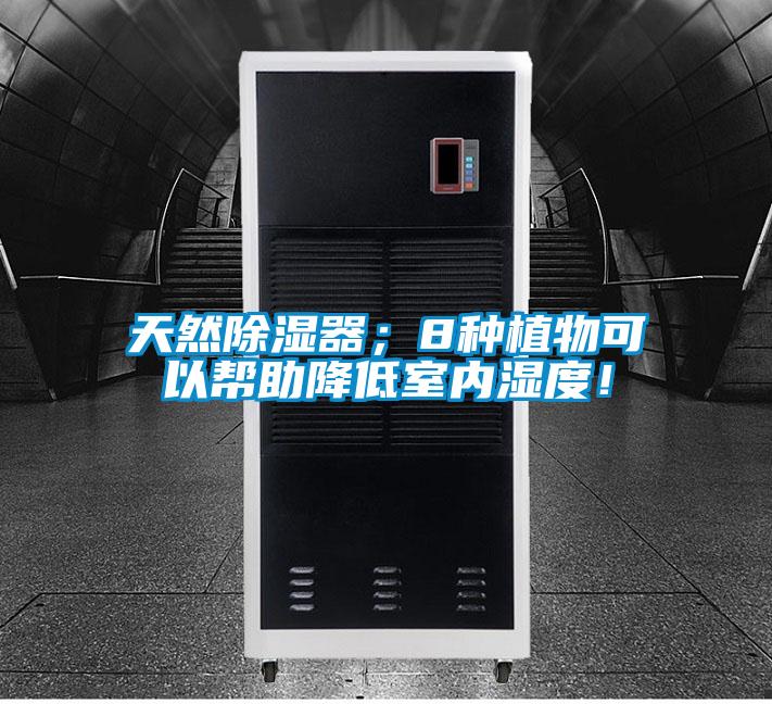 天然除湿器；8种植物可以帮助降低室内湿度！