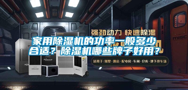 家用精品一区二区三区水蜜桃的功率一般多少合适？精品一区二区三区水蜜桃哪些牌子好用？