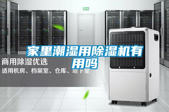 家里潮湿用精品一区二区三区水蜜桃有用吗