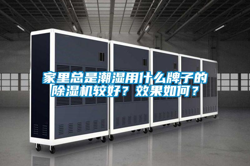 家里总是潮湿用什么牌子的精品一区二区三区水蜜桃较好？效果如何？