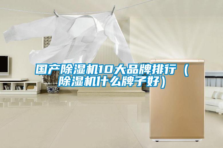 国产精品一区二区三区水蜜桃10大品牌排行(精品一区二区三区水蜜桃什么牌子好)