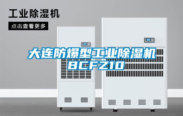 大连防爆型工业精品一区二区三区水蜜桃 BCFZ10