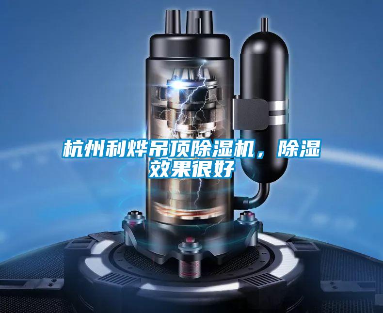 杭州利烨吊顶精品一区二区三区水蜜桃，除湿效果很好