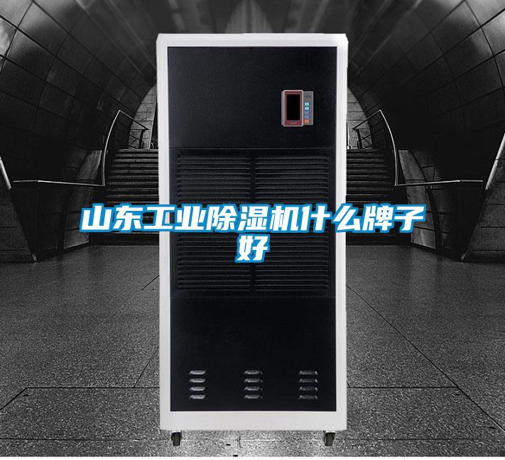 山东工业精品一区二区三区水蜜桃什么牌子好