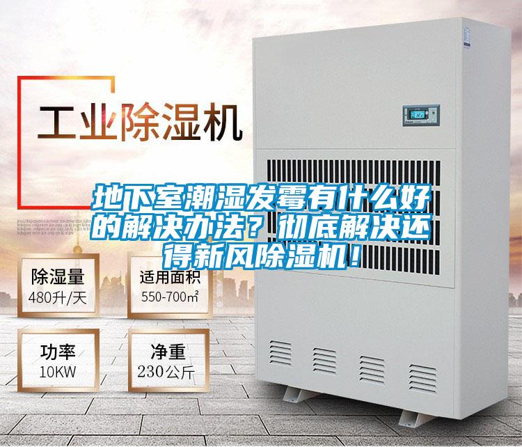 地下室潮湿发霉有什么好的解决办法？彻底解决还得新风精品一区二区三区水蜜桃！