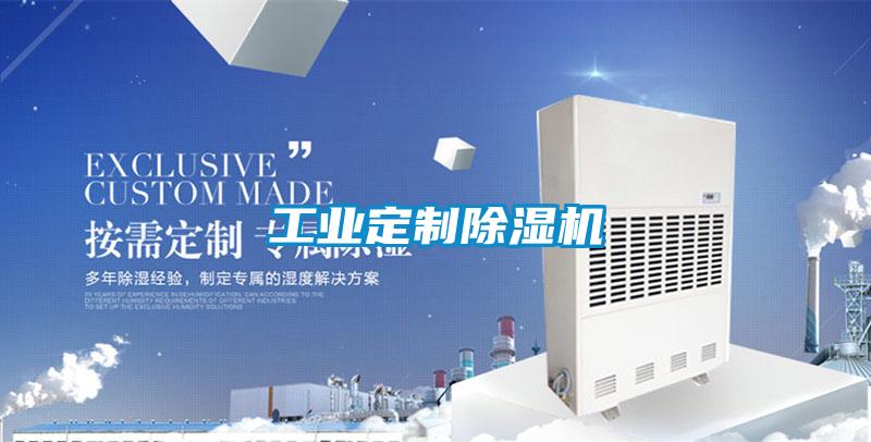 工业定制精品一区二区三区水蜜桃