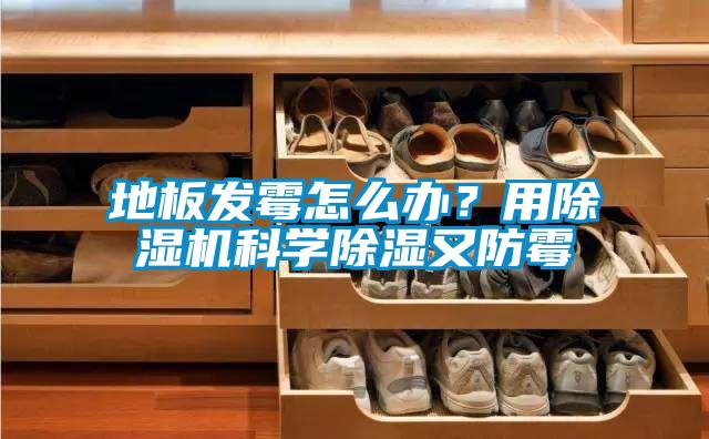 地板发霉怎么办？用精品一区二区三区水蜜桃科学除湿又防霉