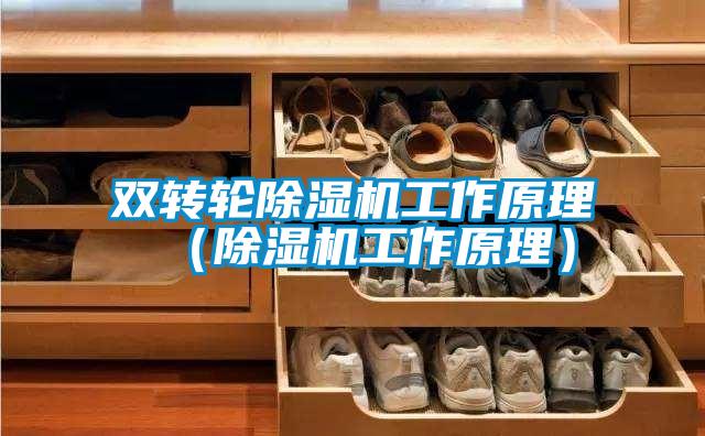 双转轮精品一区二区三区水蜜桃工作原理（精品一区二区三区水蜜桃工作原理）