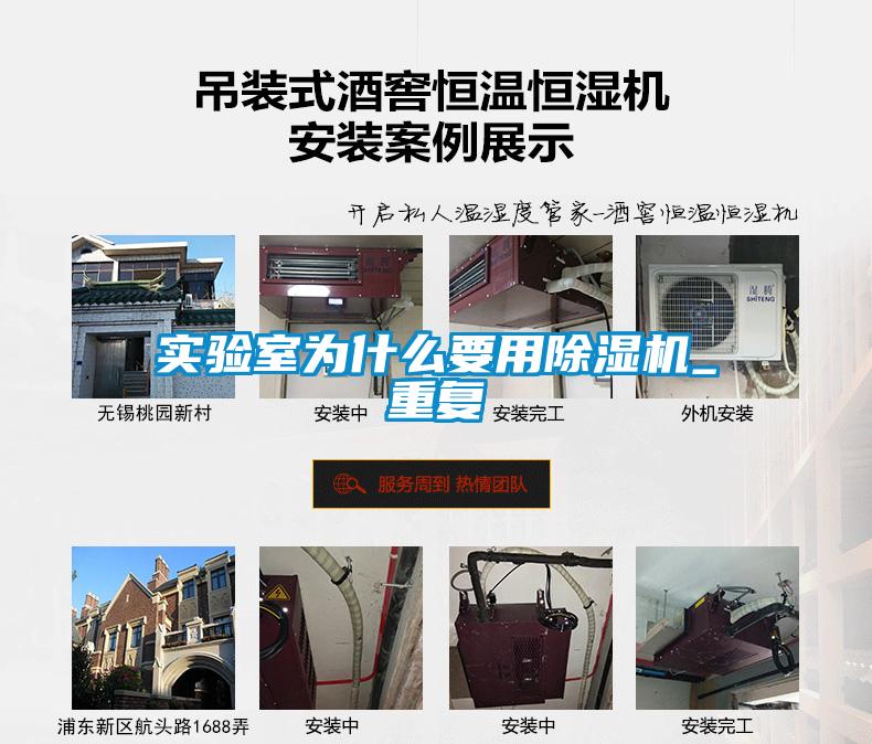 实验室为什么要用精品一区二区三区水蜜桃_重复