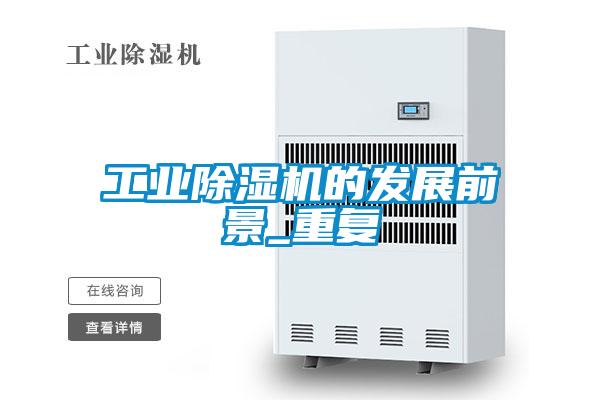 工业精品一区二区三区水蜜桃的发展前景_重复