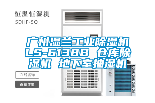 广州湿兰工业精品一区二区三区水蜜桃LS-6138B 仓库精品一区二区三区水蜜桃 地下室抽湿机