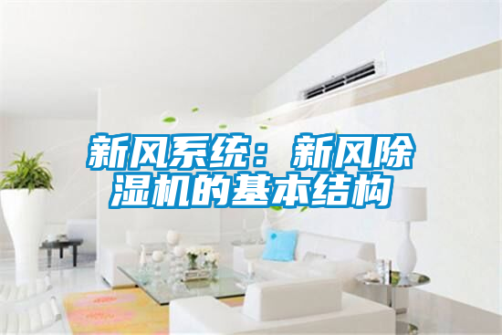 新风系统：新风精品一区二区三区水蜜桃的基本结构