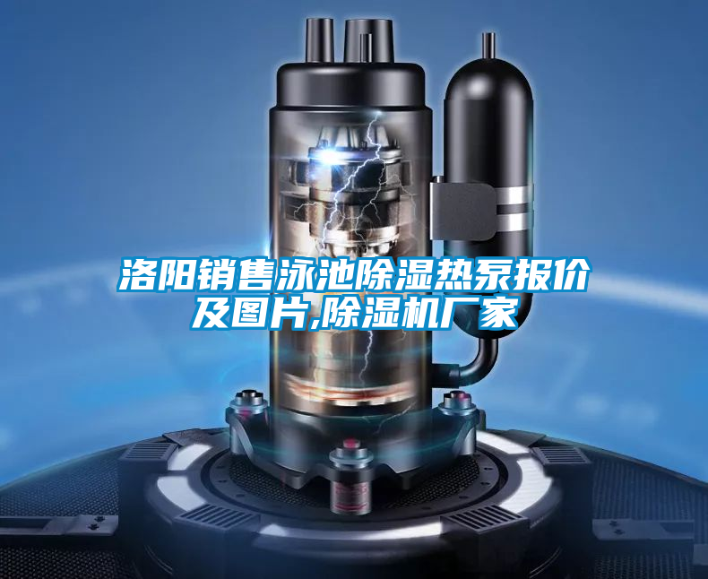 洛阳销售泳池除湿热泵报价及图片,精品一区二区三区水蜜桃厂家