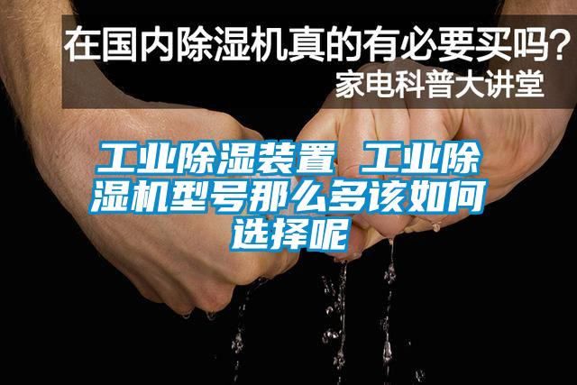 工业除湿装置 工业精品一区二区三区水蜜桃型号那么多该如何选择呢