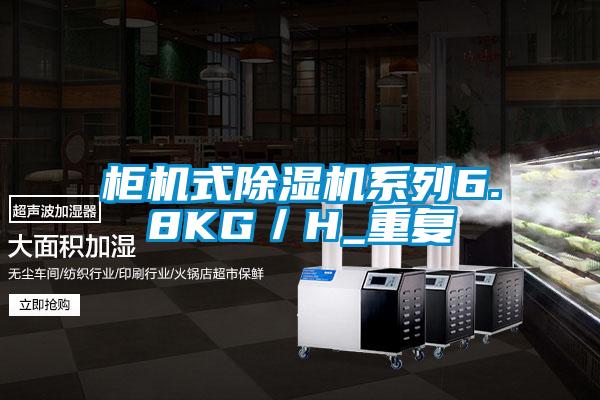 柜机式精品一区二区三区水蜜桃系列6.8KG/H_重复