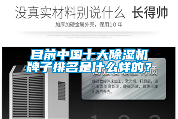 目前中国十大精品一区二区三区水蜜桃牌子排名是什么样的？