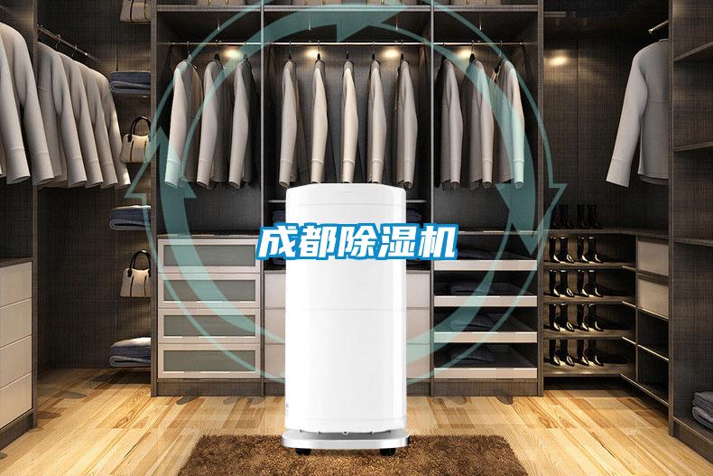 成都精品一区二区三区水蜜桃