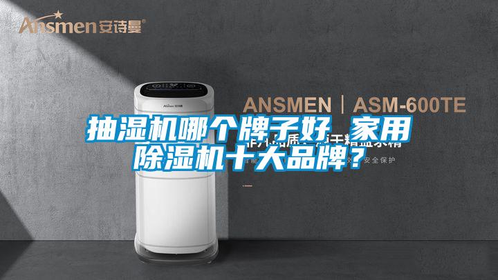 抽湿机哪个牌子好 家用精品一区二区三区水蜜桃十大品牌？