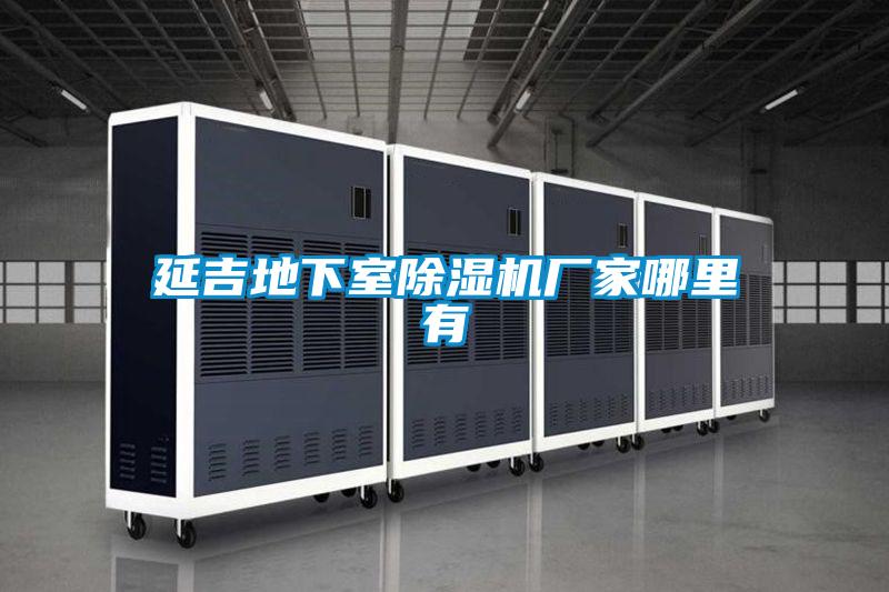 延吉地下室精品一区二区三区水蜜桃厂家哪里有