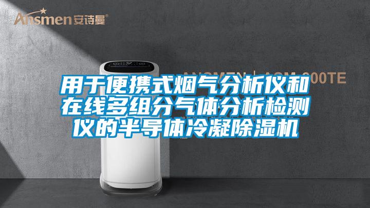 用于便携式烟气分析仪和在线多组分气体分析检测仪的半导体冷凝精品一区二区三区水蜜桃