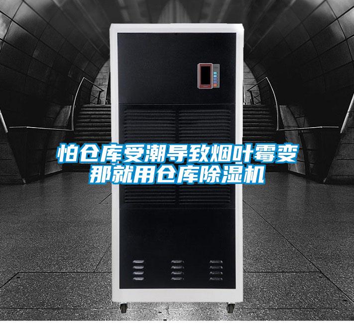 怕仓库受潮导致烟叶霉变那就用仓库精品一区二区三区水蜜桃