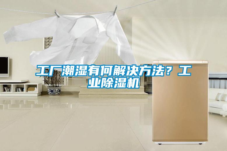 工厂潮湿有何解决方法？工业精品一区二区三区水蜜桃