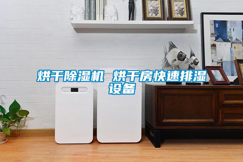 烘干精品一区二区三区水蜜桃 烘干房快速排湿设备