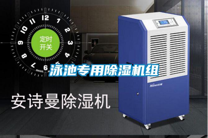 泳池专用精品一区二区三区水蜜桃组