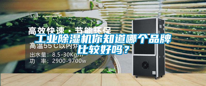 工业精品一区二区三区水蜜桃你知道哪个品牌比较好吗？
