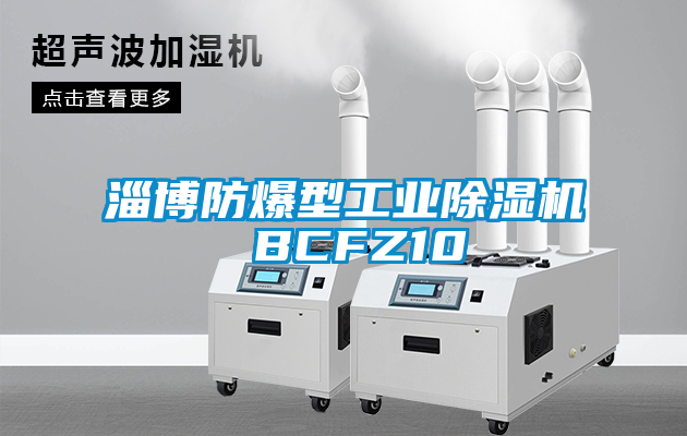 淄博防爆型工业精品一区二区三区水蜜桃 BCFZ10