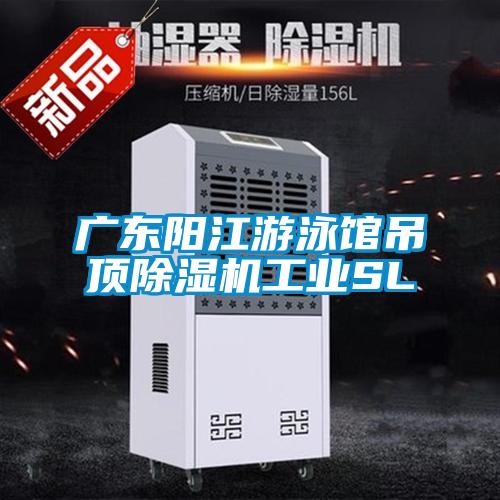 广东阳江游泳馆吊顶精品一区二区三区水蜜桃工业SL