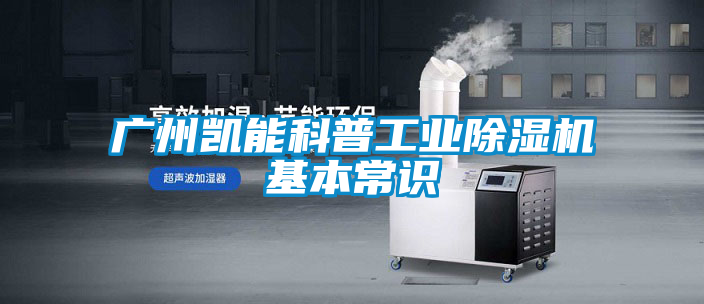 广州凯能科普工业精品一区二区三区水蜜桃基本常识