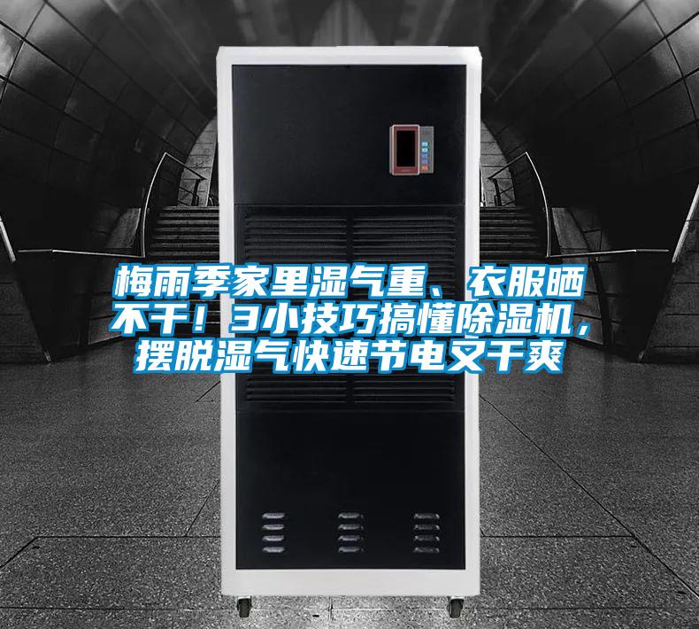 梅雨季家里湿气重、衣服晒不干！3小技巧搞懂精品一区二区三区水蜜桃，摆脱湿气快速节电又干爽