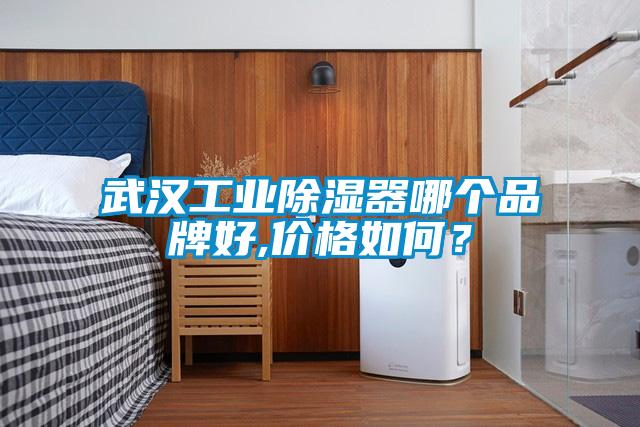 武汉工业除湿器哪个品牌好,价格如何？