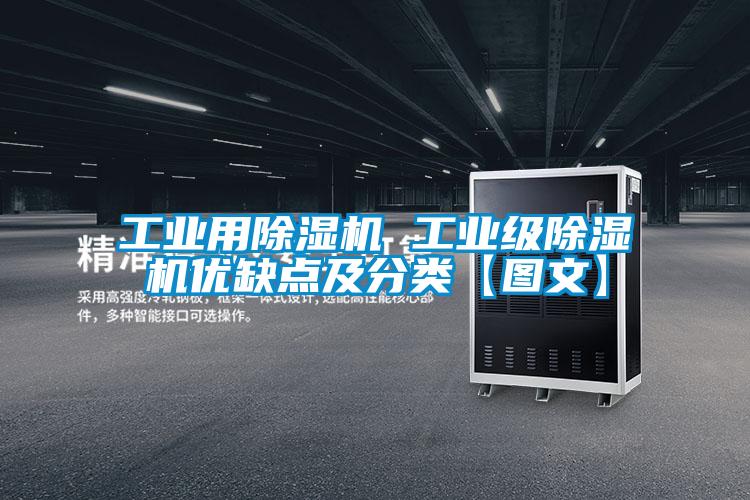 工业用精品一区二区三区水蜜桃 工业级精品一区二区三区水蜜桃优缺点及分类【图文】