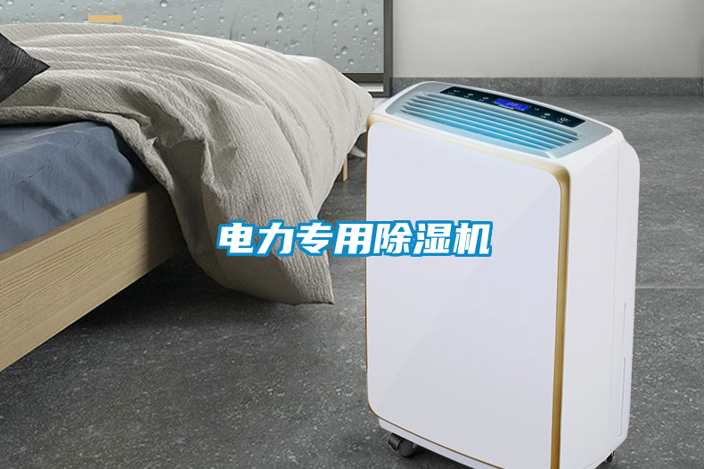 电力专用精品一区二区三区水蜜桃