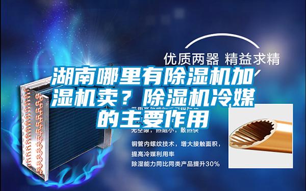 湖南哪里有精品一区二区三区水蜜桃加湿机卖？精品一区二区三区水蜜桃冷媒的主要作用