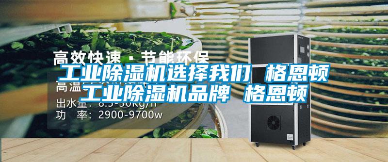 工业精品一区二区三区水蜜桃选择99精品久久久久久水蜜桃 格恩顿工业精品一区二区三区水蜜桃品牌 格恩顿