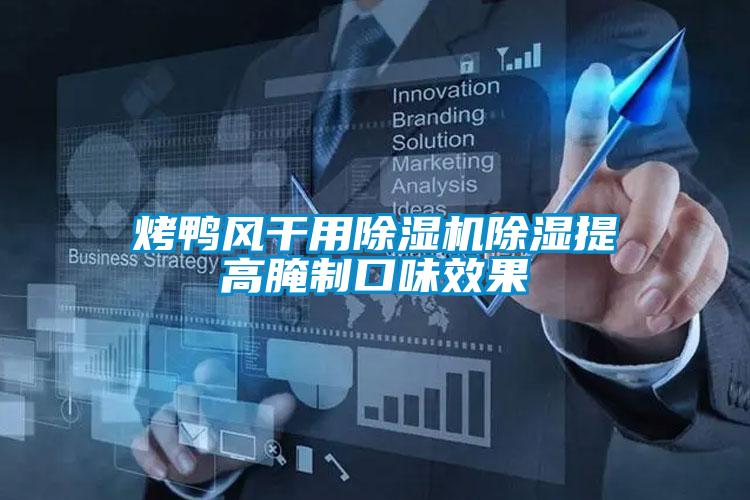 烤鸭风干用精品一区二区三区水蜜桃除湿提高腌制口味效果