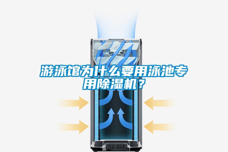 游泳馆为什么要用泳池专用精品一区二区三区水蜜桃？